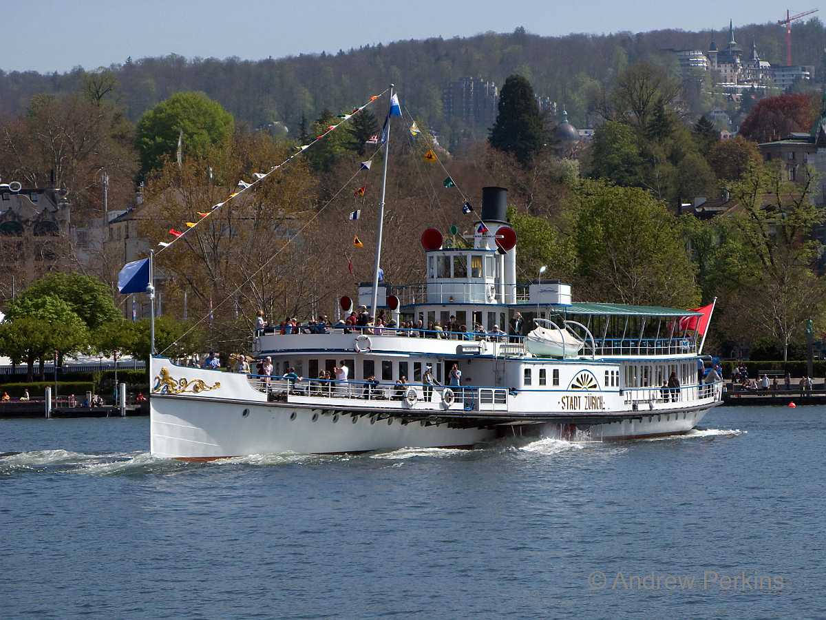 Zurich-Steemer_f1.jpg