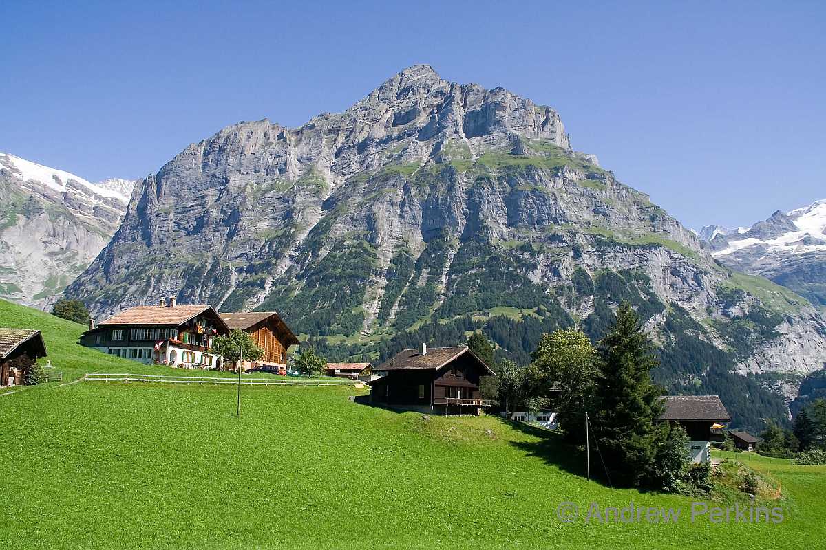 Grindelwald_f2.jpg