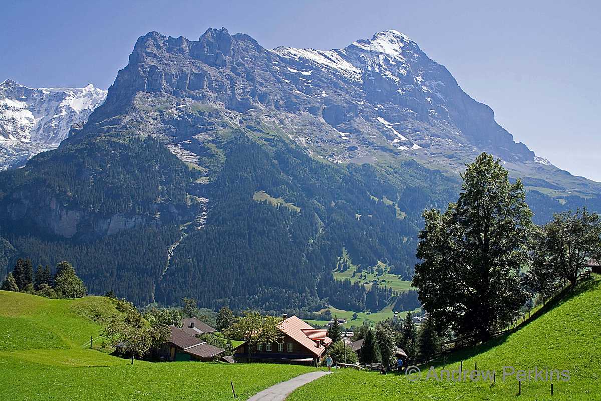 Grindlewald-2_f2_IMG_0047b.jpg